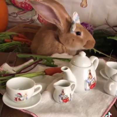 Nothing like a spring picnic 🧺