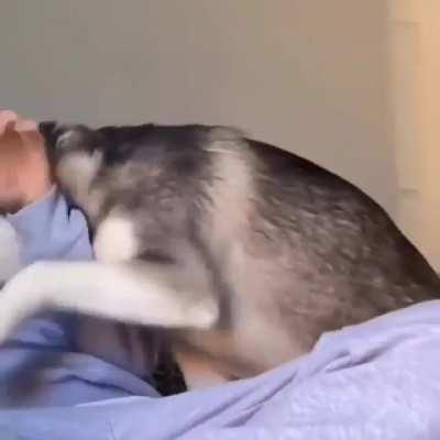 Oh yeah, that's the spot