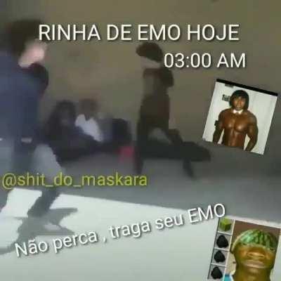 quem quer vir pra rinha?