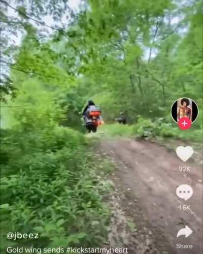 Hold my beer while I prove that a Goldwing is an all purpose motorcycle!