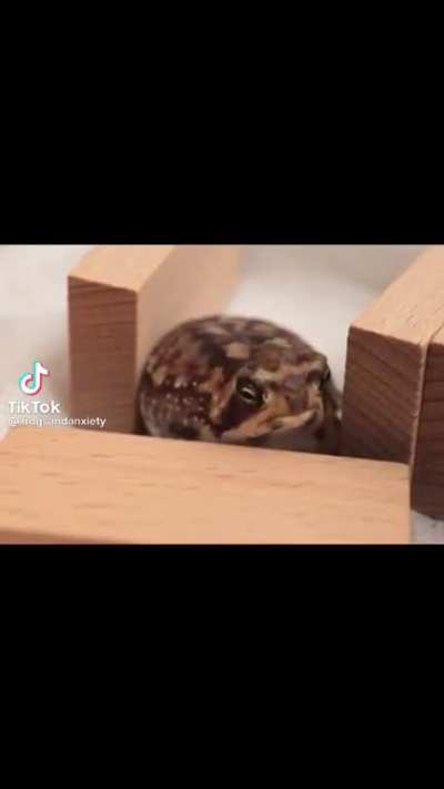 Q ser mais fofoಥ⌣ಥ