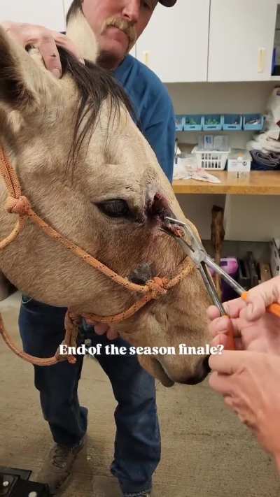 Found this video on facebook.