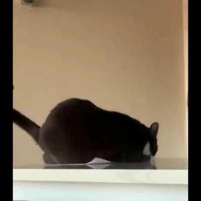 Nipped out goofy goober wunk is attacked by greebles