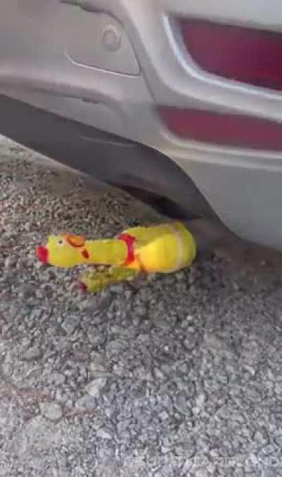 Blursed_rubber chicken
