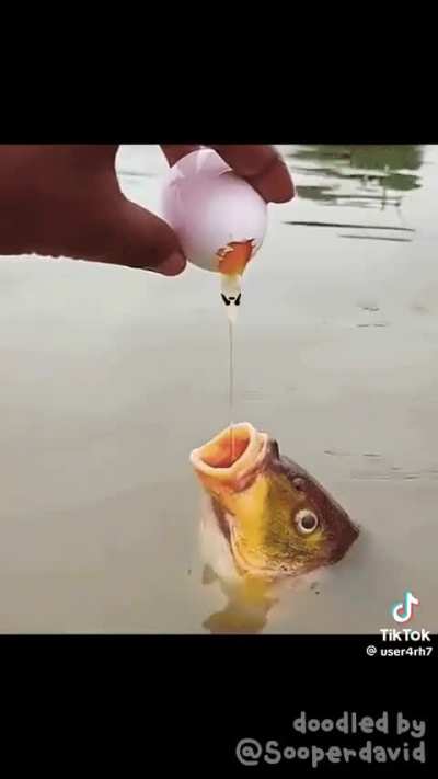 SACRIFICE YOURSELF TO FISH GOD