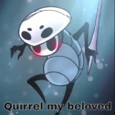 Quirrel my beloved (shitpost)