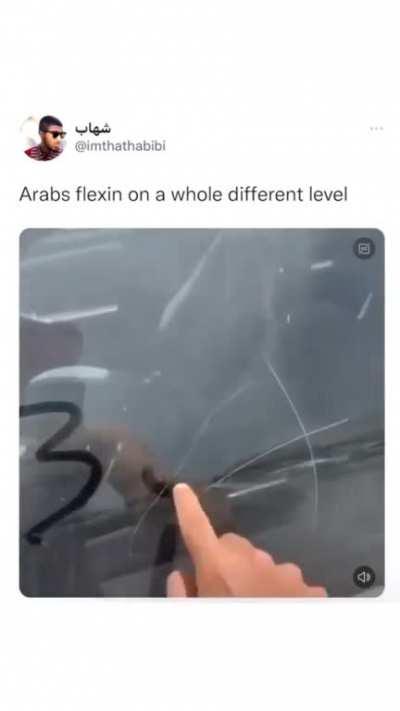 moldy_3_horses_and _1_miraculous_donkey