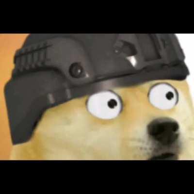 Im have committed a felmony