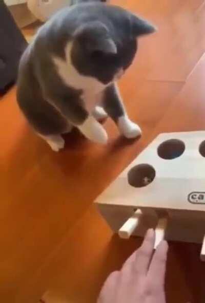 Sorry You get Shocked !