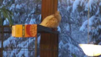 What’d You Call Me?