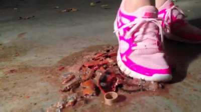 Veronika Lobster crushing in running Shoes