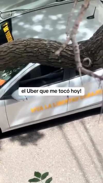 el Uber libertario no existe.....el Uber libertario