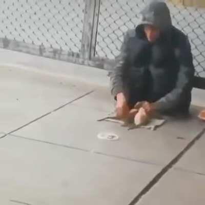 Imagine befriending rats