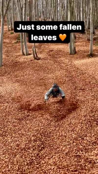 Definitely in the spirit of this sub!