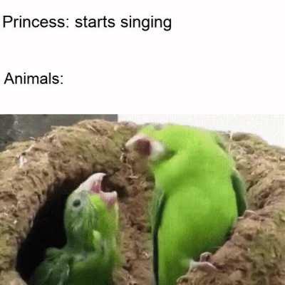 The sound... calls me