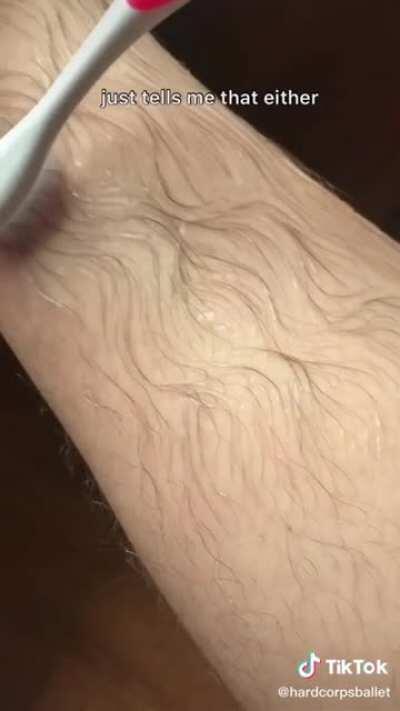 The legendary legbeard