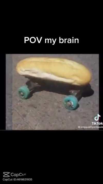 Rate my obnoxiously beautiful doggy