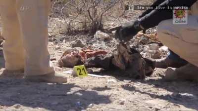 Cómo Te Extraño Mi Amor