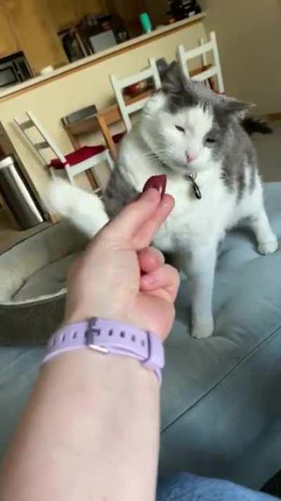 Screw your olive, woman!