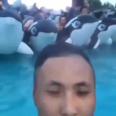 Always expect the unexpected