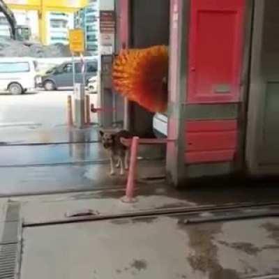 Assume the position!