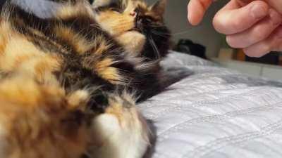 Athena is deaf, she has no clue about her volume. Let's wake her up.