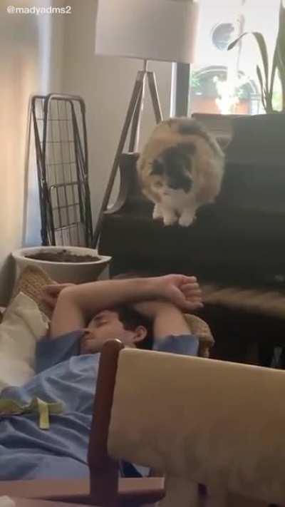 Nothing Was Miscatculated