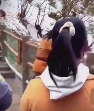 Its about time someone showed these monkeys whos the top primate