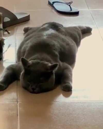 While in carpet mode.