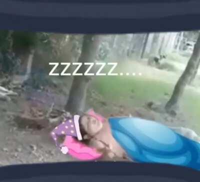 go to sleep chat if u haven't PepeSleep