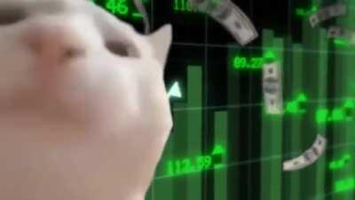 The good doge has broken the resistance, let's go to the moon friends 🚀🚀🌕