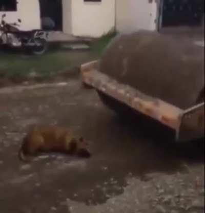 That got me a little.