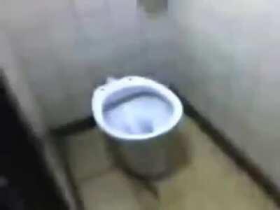 acá esta el inodoro que habla