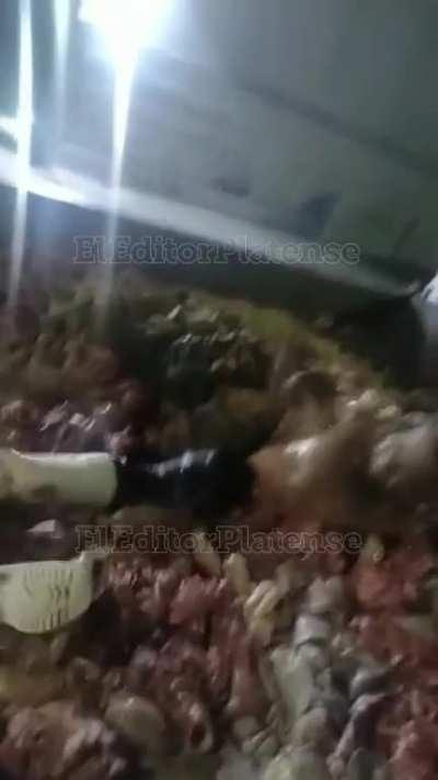 And we wonder how these viruses jump from animal to human