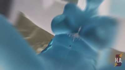 Sissy Test by Poison Goddess