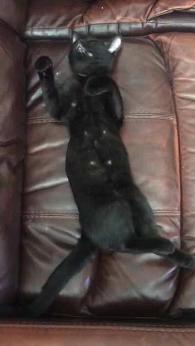 Dreams of making dough