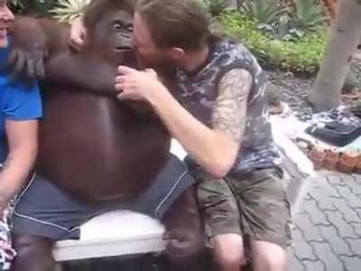 *sip* monke miss good ol' days