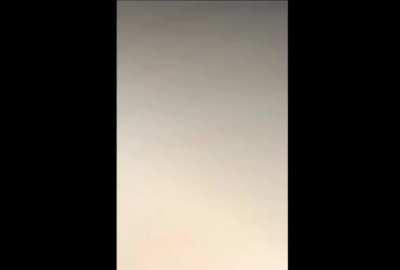 Doggy was not happy to see owner.