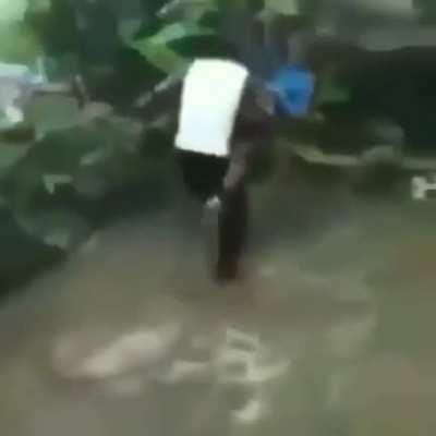 Top 10 lutas de animes