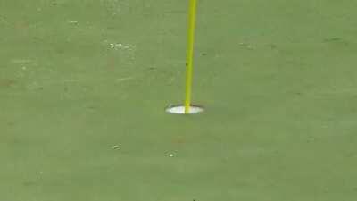 This hole in one