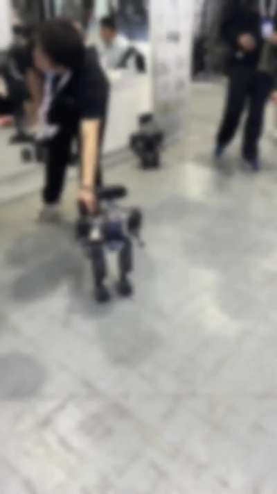 Glimpse from IROS ‘25, China