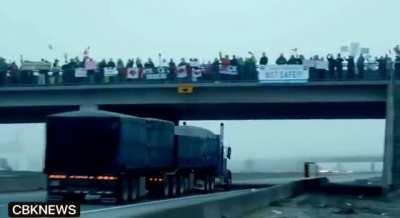 🎵音乐欣赏 ’Keep On Truckin In The Free World‘