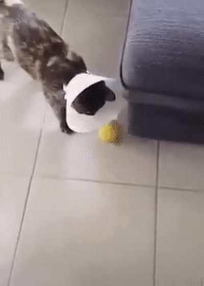 I don’t think the sedative has worn off yet.