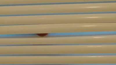 This is Nori, just being herself.