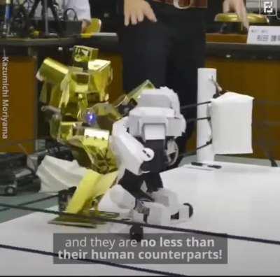 Ultimate Wrestling Robots from Japan