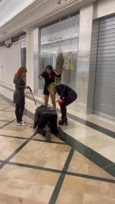 Dog training in public