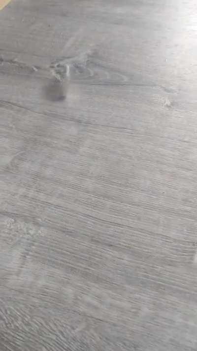 Tuesday is predicted.