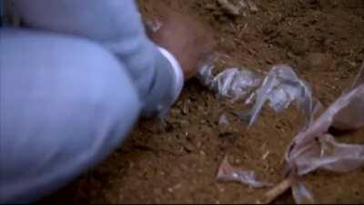 shawn and gus are the best