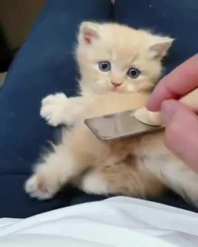 She always wants to brush her..