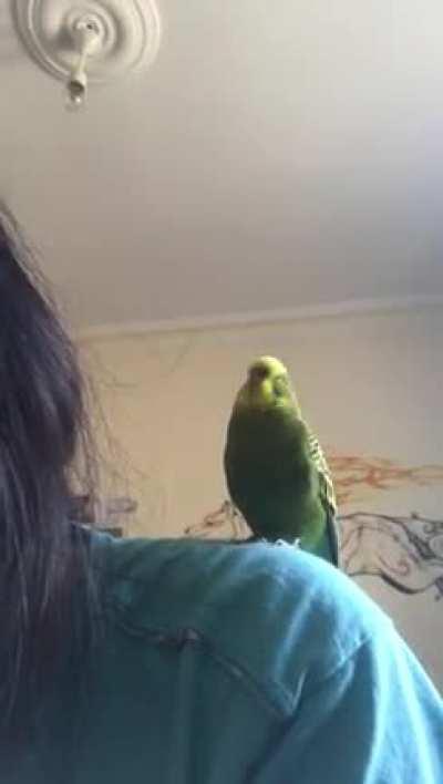 The party engine starting!